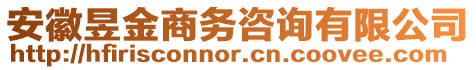 安徽昱金商務咨詢有限公司