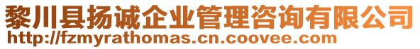 黎川縣揚(yáng)誠企業(yè)管理咨詢有限公司