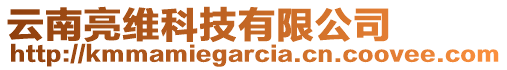 云南亮維科技有限公司