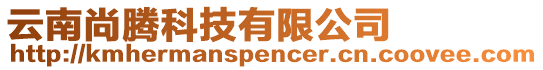 云南尚騰科技有限公司