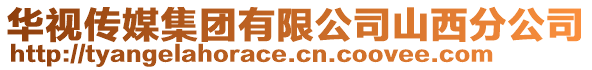 華視傳媒集團有限公司山西分公司