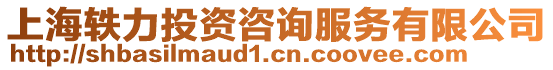 上海軼力投資咨詢服務(wù)有限公司