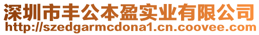 深圳市豐公本盈實業(yè)有限公司