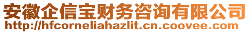 安徽企信寶財(cái)務(wù)咨詢有限公司