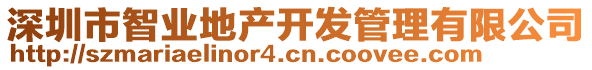 深圳市智業(yè)地產(chǎn)開發(fā)管理有限公司