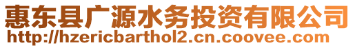 惠東縣廣源水務(wù)投資有限公司