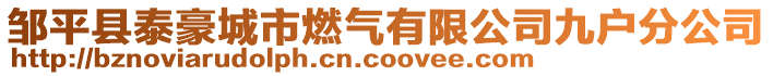 鄒平縣泰豪城市燃?xì)庥邢薰揪艖舴止? style=