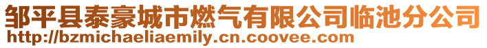 鄒平縣泰豪城市燃?xì)庥邢薰九R池分公司