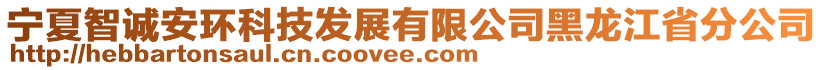 寧夏智誠安環(huán)科技發(fā)展有限公司黑龍江省分公司