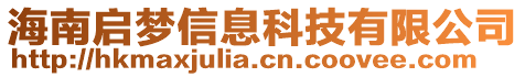 海南啟夢信息科技有限公司