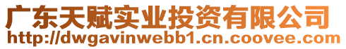 廣東天賦實(shí)業(yè)投資有限公司