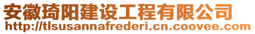 安徽琦陽建設(shè)工程有限公司