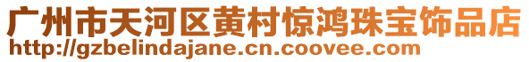 廣州市天河區(qū)黃村驚鴻珠寶飾品店