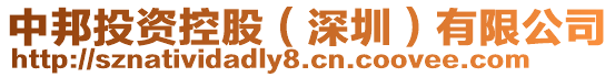 中邦投資控股（深圳）有限公司