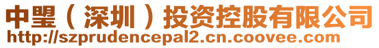 中琞(深圳)投資控股有限公司