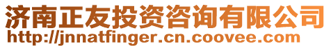 濟(jì)南正友投資咨詢有限公司