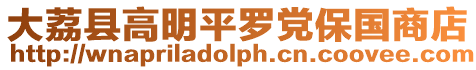 大荔縣高明平羅黨保國商店