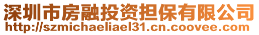 深圳市房融投資擔(dān)保有限公司