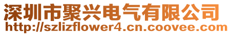 深圳市聚興電氣有限公司