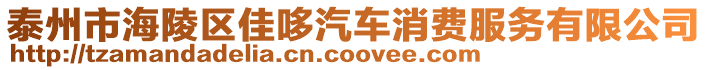 泰州市海陵區(qū)佳哆汽車消費(fèi)服務(wù)有限公司