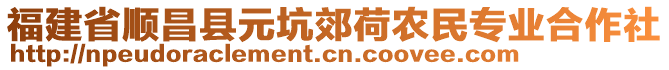 福建省順昌縣元坑郊荷農(nóng)民專業(yè)合作社