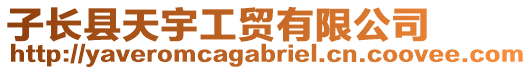 子長縣天宇工貿(mào)有限公司