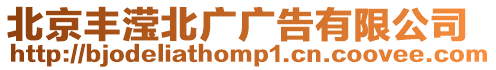 北京豐瀅北廣廣告有限公司