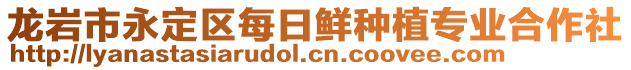 龍巖市永定區每日鮮種植專業合作社
