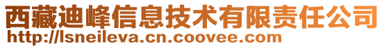 西藏迪峰信息技术有限责任公司