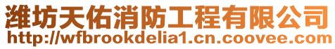 濰坊天佑消防工程有限公司