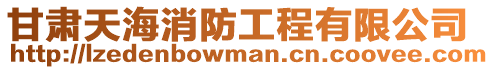 甘肅天海消防工程有限公司