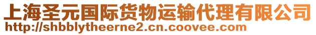 上海圣元國際貨物運(yùn)輸代理有限公司