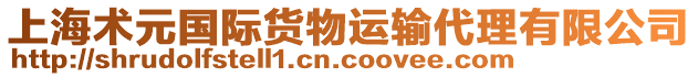 上海術元國際貨物運輸代理有限公司