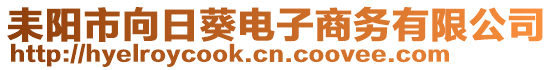 耒陽(yáng)市向日葵電子商務(wù)有限公司