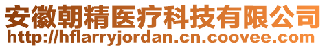 安徽朝精醫(yī)療科技有限公司