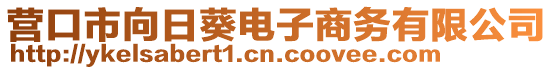 營(yíng)口市向日葵電子商務(wù)有限公司