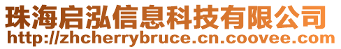 珠海啟泓信息科技有限公司