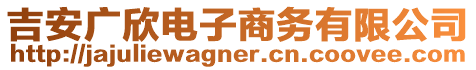 吉安廣欣電子商務有限公司