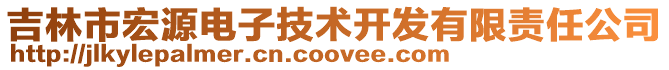 吉林市宏源電子技術開發有限責任公司