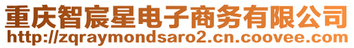 重慶智宸星電子商務有限公司