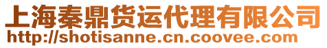 上海秦鼎貨運(yùn)代理有限公司