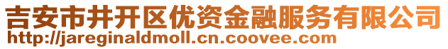 吉安市井開區優資金融服務有限公司