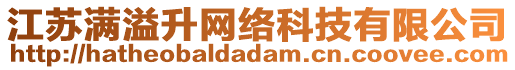 江蘇滿溢升網(wǎng)絡(luò)科技有限公司