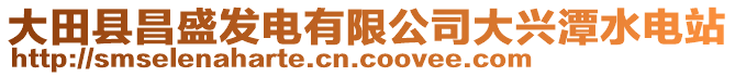 大田縣昌盛發(fā)電有限公司大興潭水電站