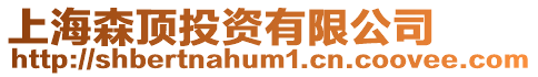 上海森頂投資有限公司
