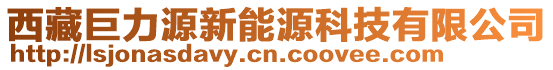 西藏巨力源新能源科技有限公司