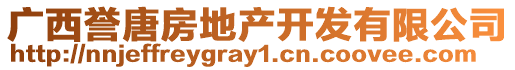 廣西譽(yù)唐房地產(chǎn)開發(fā)有限公司