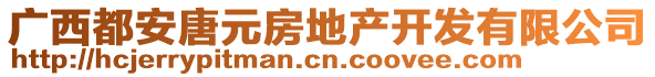 廣西都安唐元房地產(chǎn)開發(fā)有限公司