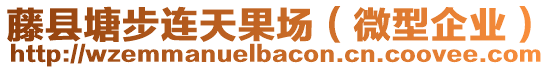 藤縣塘步連天果場(chǎng)（微型企業(yè)）