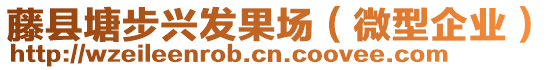 藤縣塘步興發(fā)果場(chǎng)（微型企業(yè)）